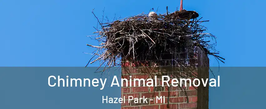 Chimney Animal Removal Hazel Park - MI