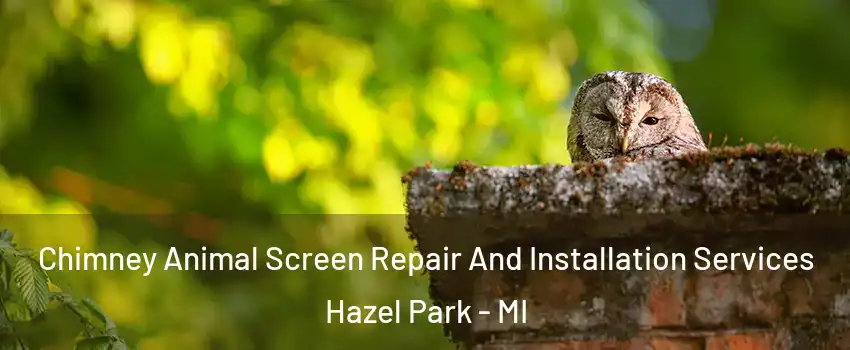  Chimney Animal Screen Repair And Installation Services Hazel Park - MI
