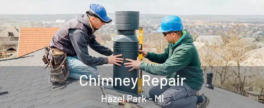  Chimney Repair Hazel Park - MI