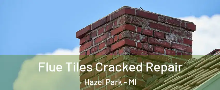  Flue Tiles Cracked Repair Hazel Park - MI