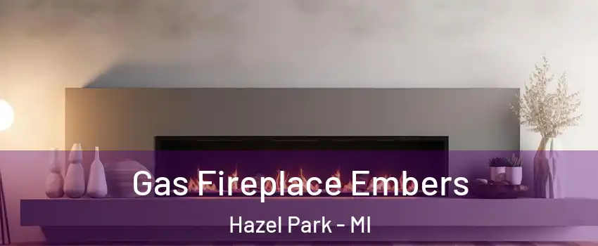  Gas Fireplace Embers Hazel Park - MI