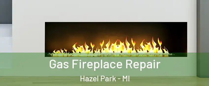  Gas Fireplace Repair Hazel Park - MI