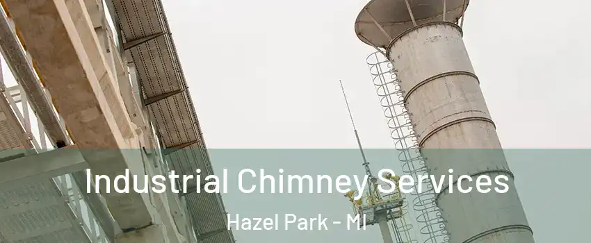  Industrial Chimney Services Hazel Park - MI