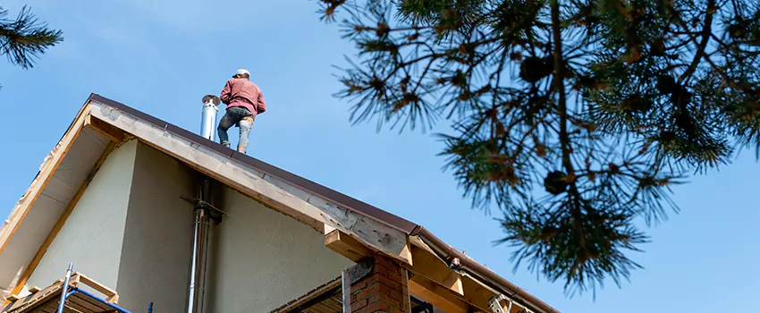 Birds Removal Contractors from Chimney in Hazel Park, MI
